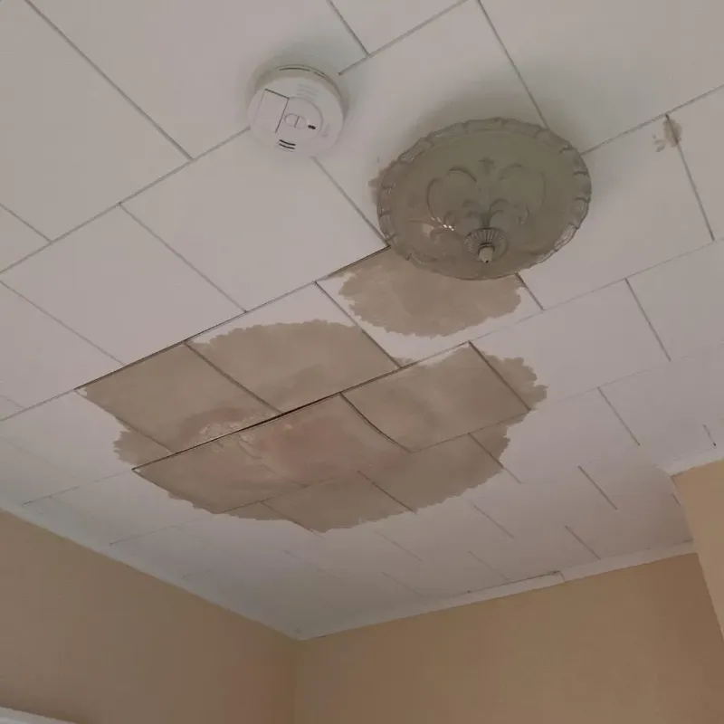 Ceiling Water Damage Repair in Mason, NH