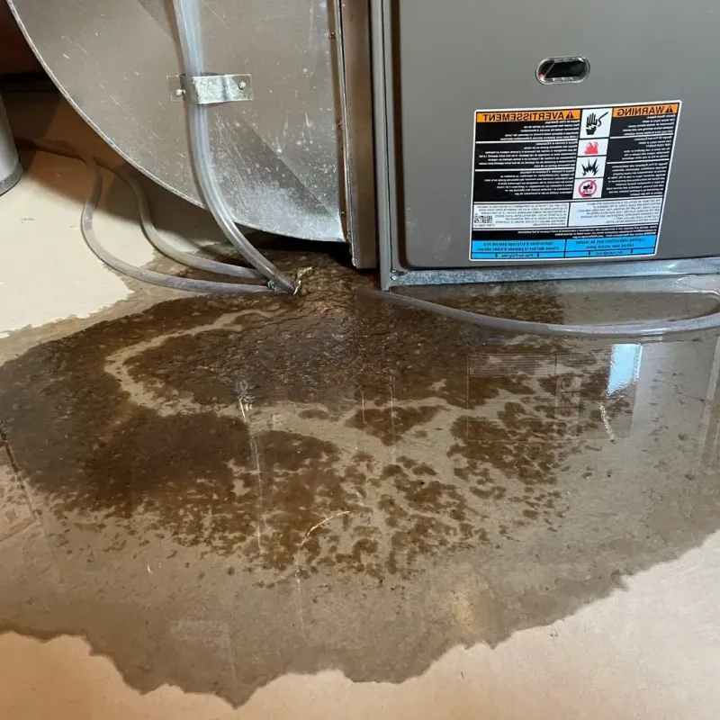 Pipe Burst and Leak Restoration in Mason, NH